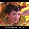 图库浏览器下载安装手机版